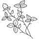 Icon Sprijin Emoțional